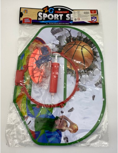 ARO DE BASQUET + PELOTA