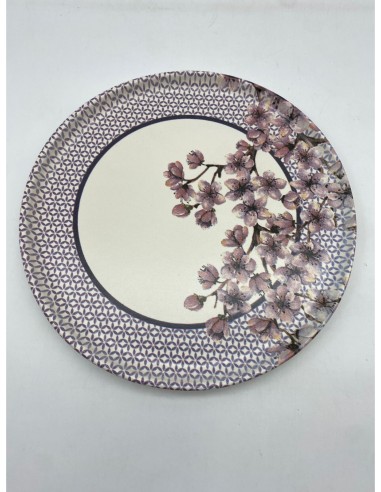 PLATO PLAYO CON DISEÑOS SURTIDOS.