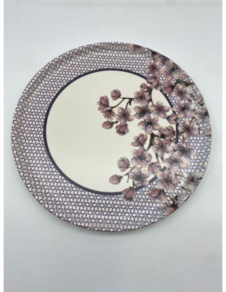 PLATO PLAYO CON DISEÑOS SURTIDOS.