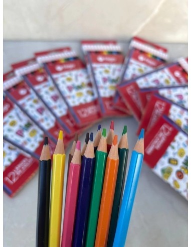 LAPICES DE COLORES FILGO X 12.