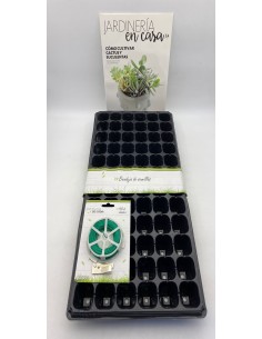 JARDINERIA EN CASA: COMO CULTIVAR CACTUS Y SUCULENTAS + HILO